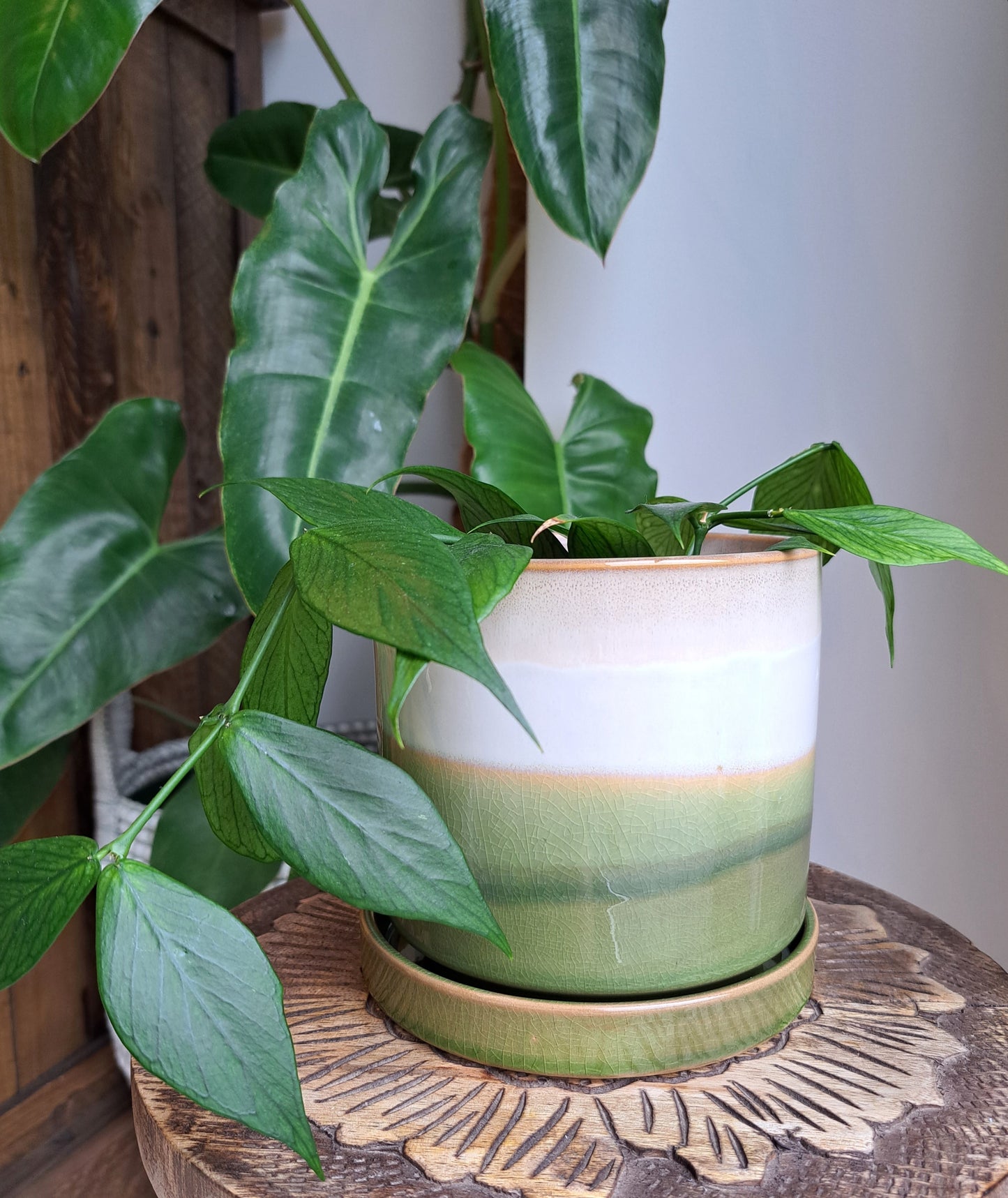 Moss Green 4.75" Ceramic Plant Pot