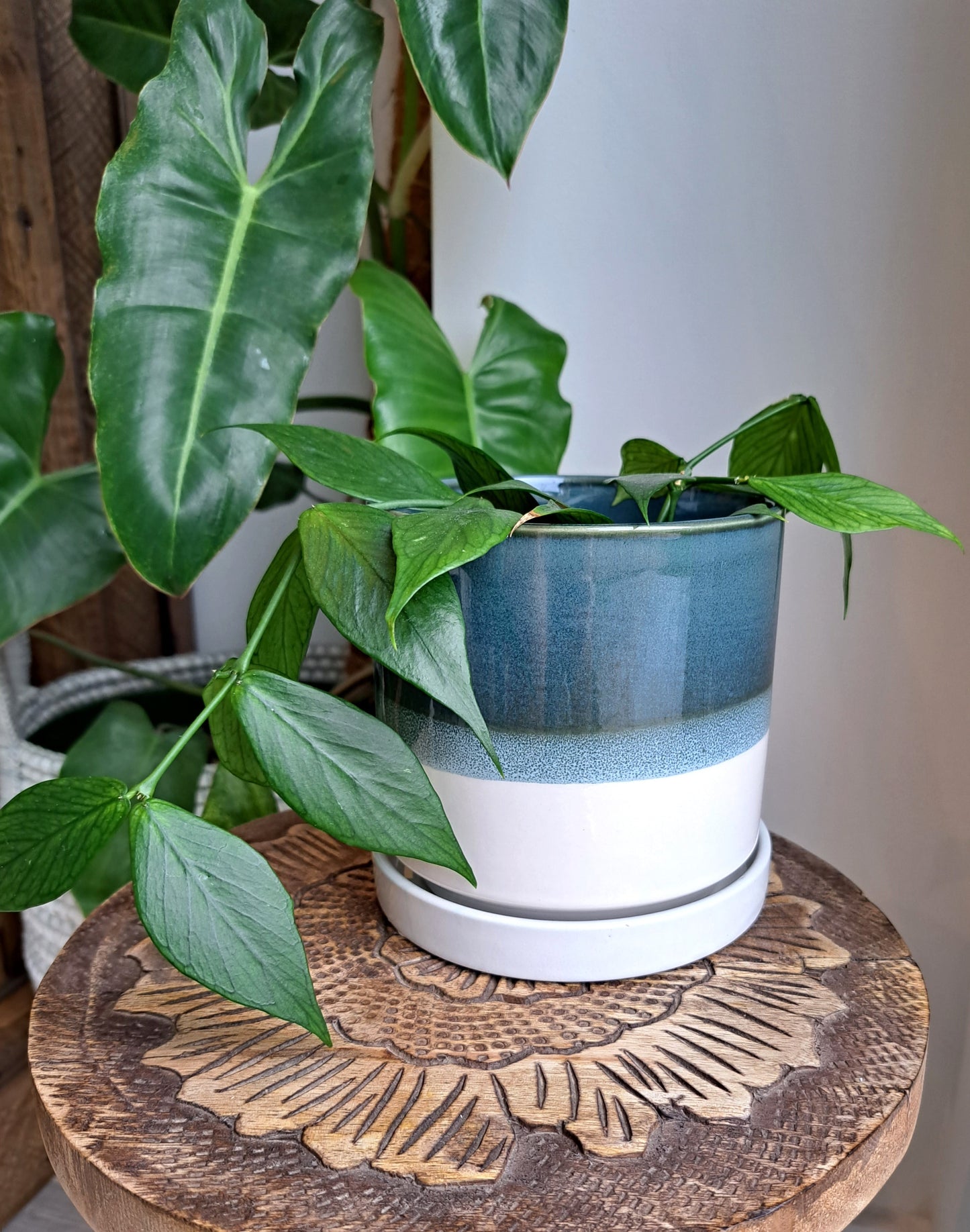 Deep Blue 4.75" Ceramic Plant Pot