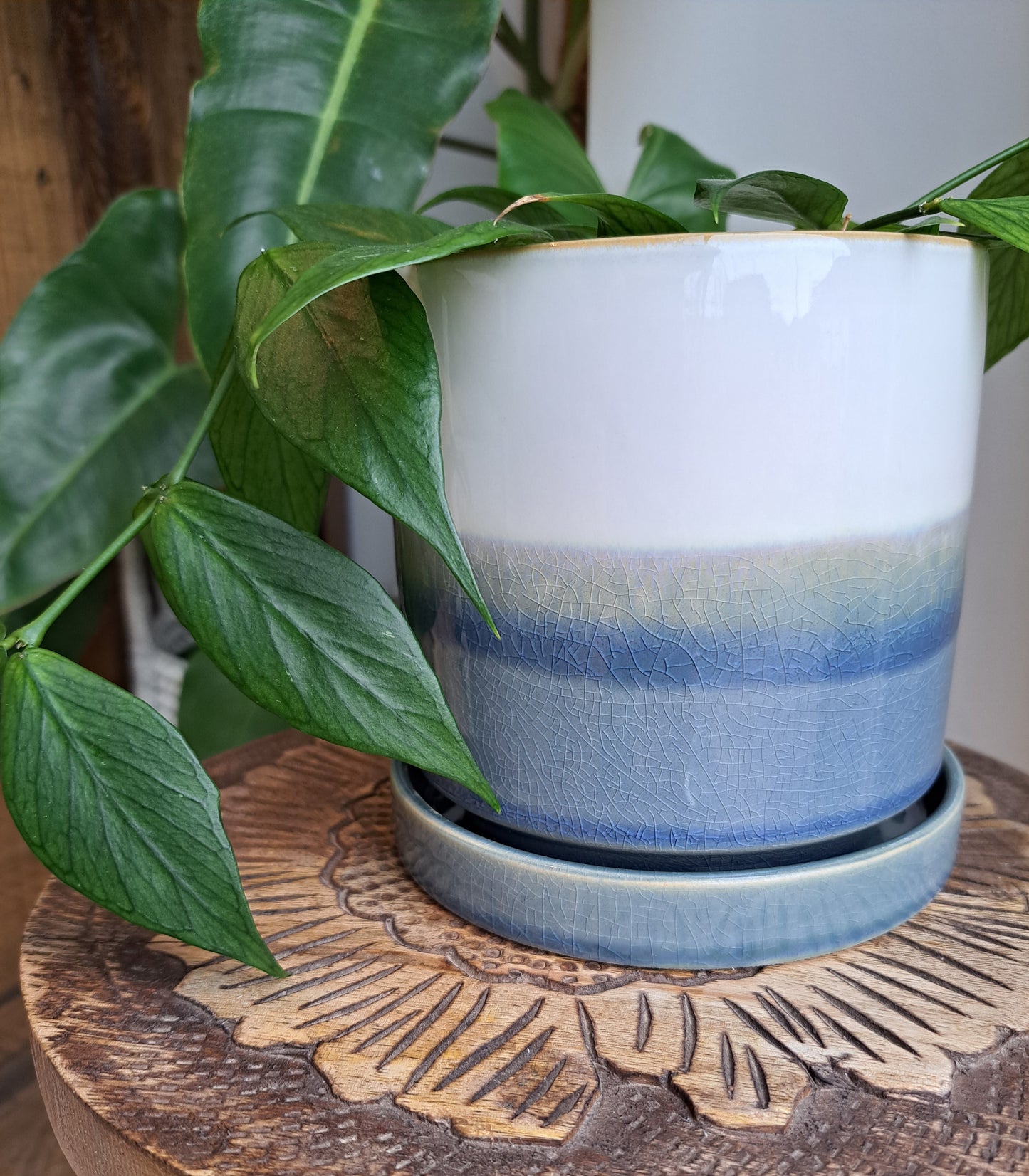 Ocean Blue 4.75" Ceramic Plant Pot