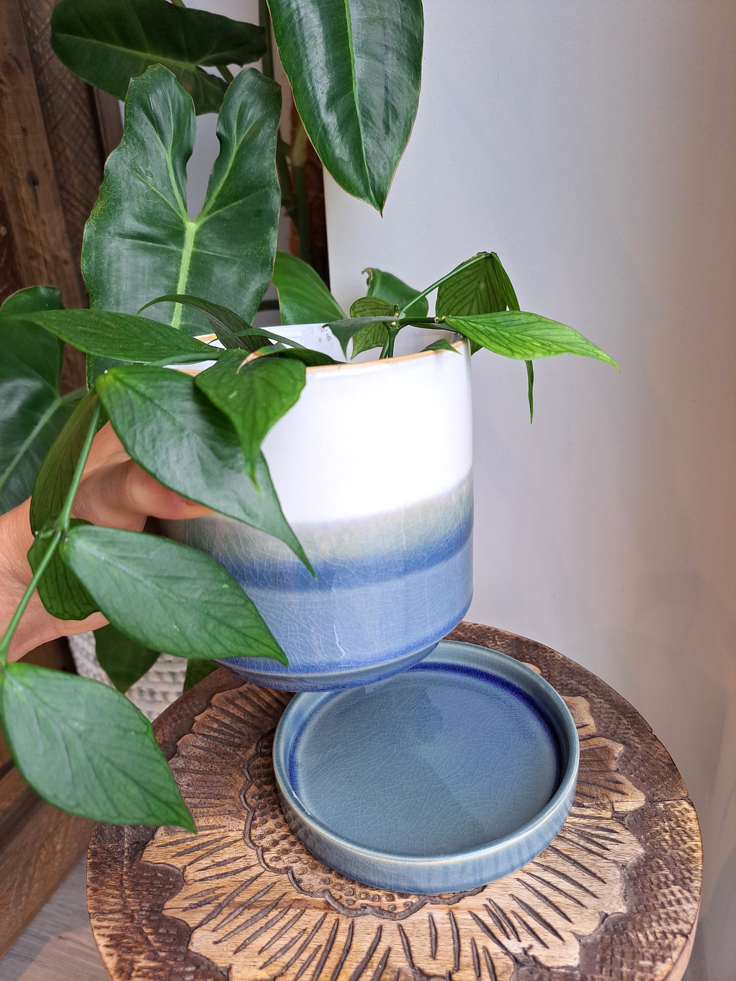 Ocean Blue 4.75" Ceramic Plant Pot