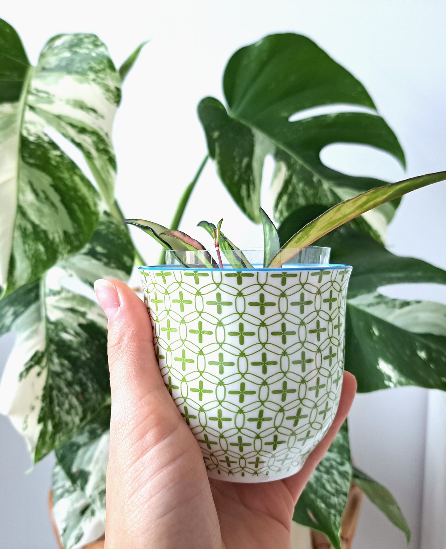 Light Green Porcelain Plant Pot