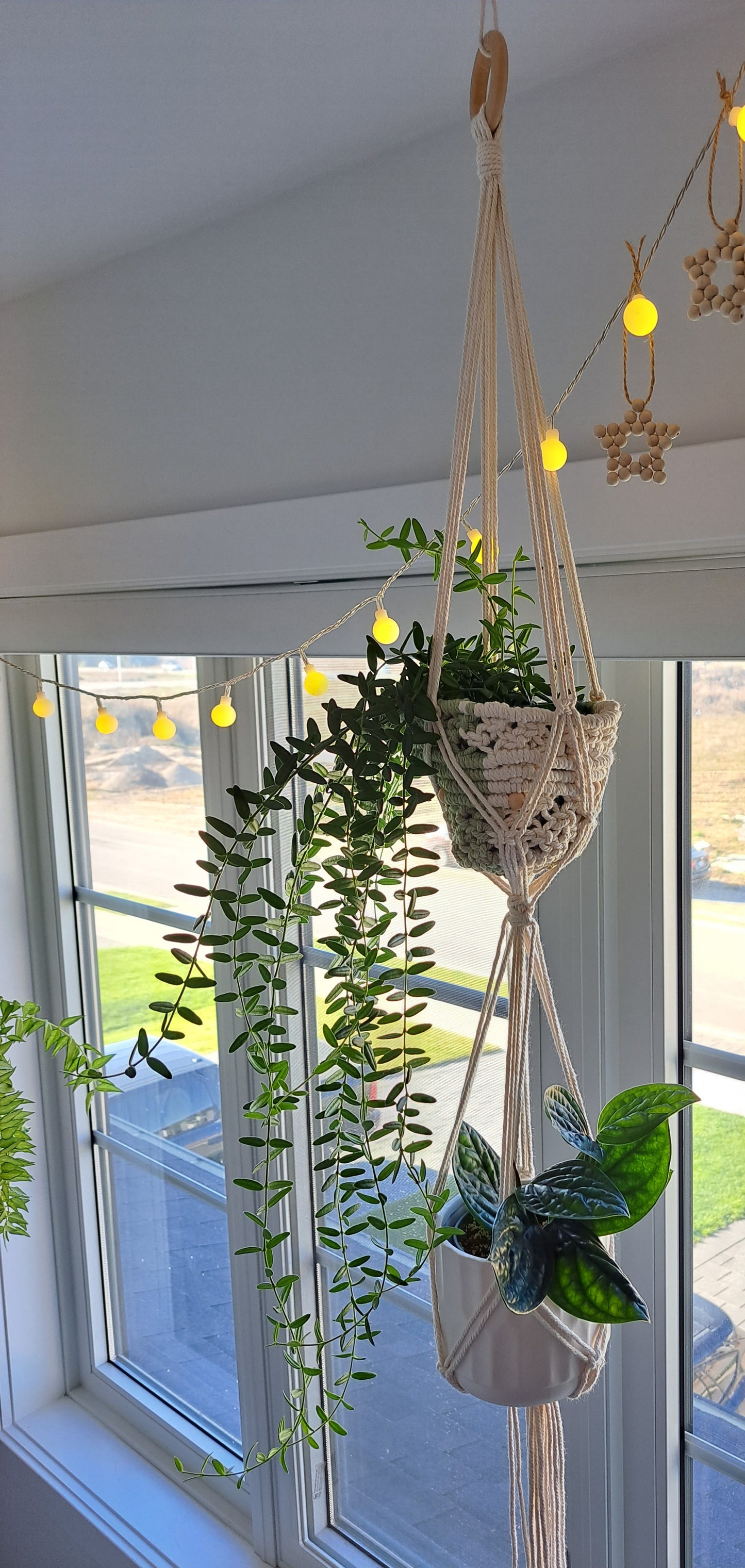 Macrame Plant Hanger for Two Plants