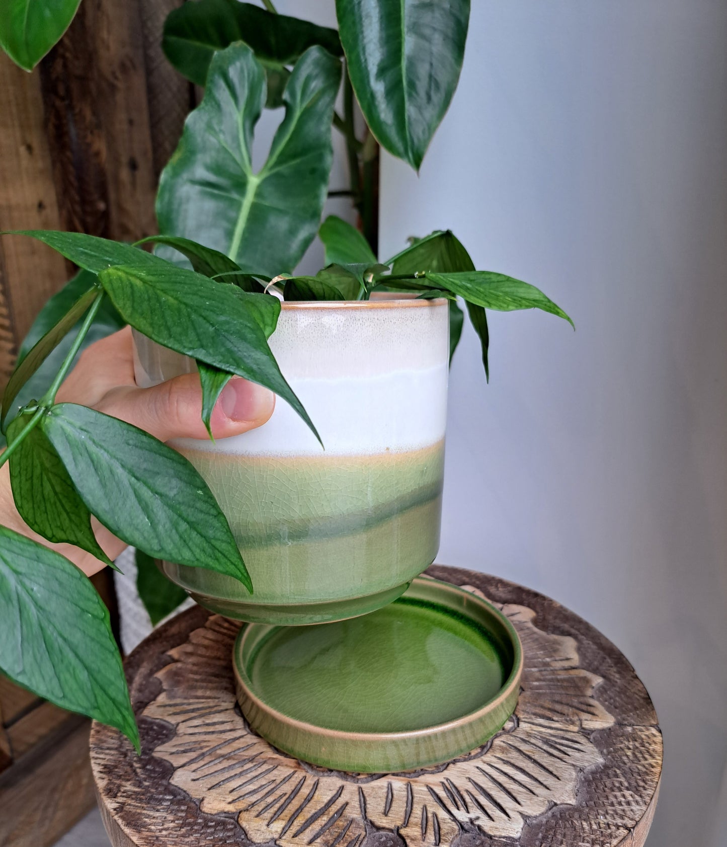 Moss Green 4.75" Ceramic Plant Pot