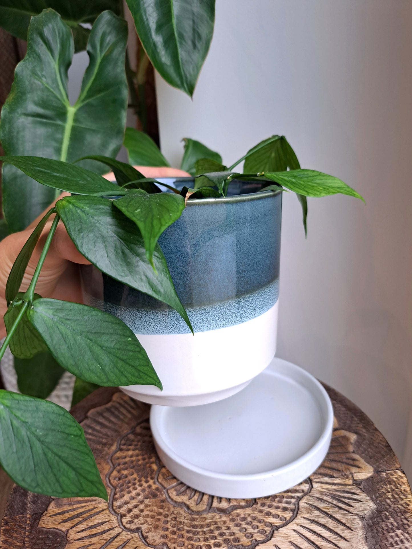 Deep Blue 4.75" Ceramic Plant Pot