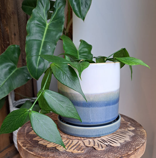 Ocean Blue 4.75" Ceramic Plant Pot