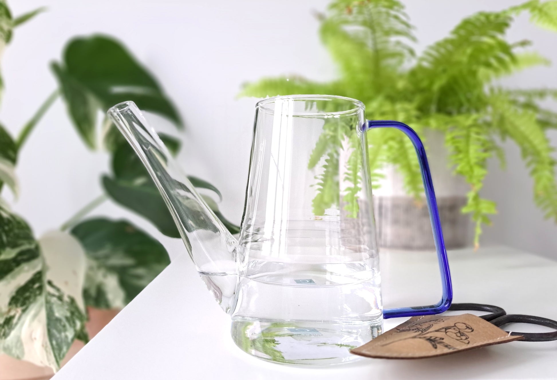 This extruded tube glass watering container is a perfect gift idea! Delicate and trendy, this water jug is great for getting into hard to reach spaces. Also makes a great vase for displaying fresh cut flowers. Comes with rustic metal snippers in the pouch.