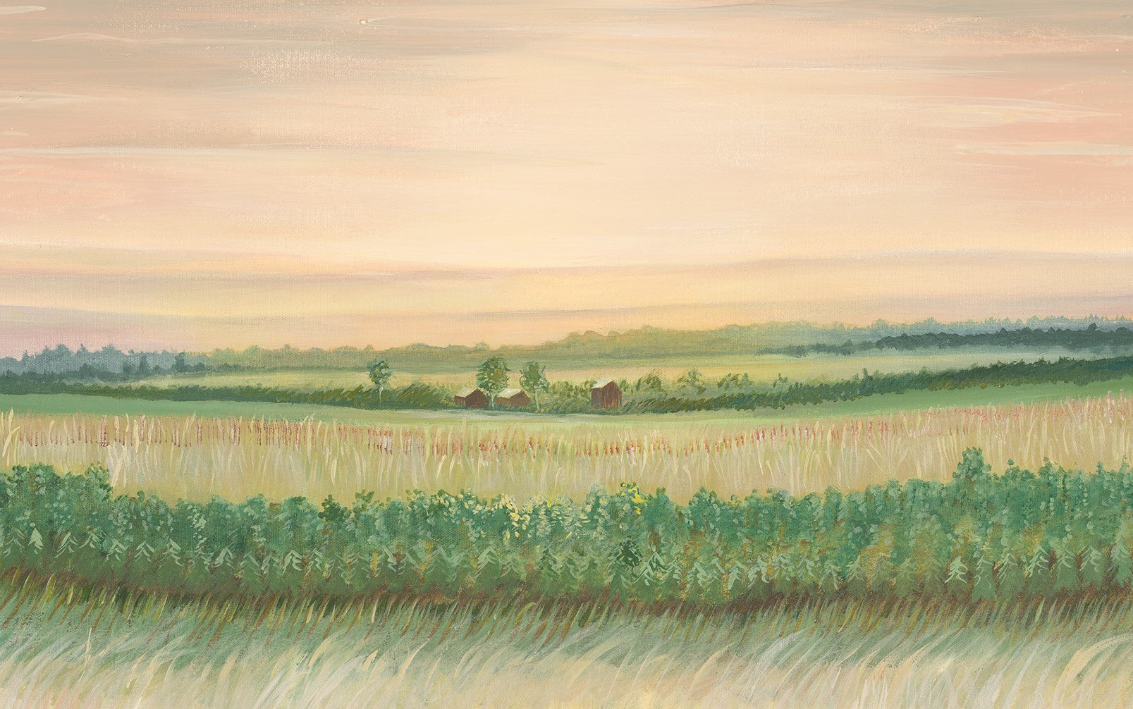 Original Painting. Weathered Landing's Field at Sunset Canvas Wall Art Print. Canvas art prints made in Canada and US. Beautiful in a farmhouse, country, or rustic home. Find a variety of home decor and canvas wall art prints at Weathered Landing. Located in Komoka, Ontario, local delivery is available. Shipping to Canada and the US.